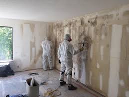 Best Water Damage & Mold Remediation  in Wyoming, MN